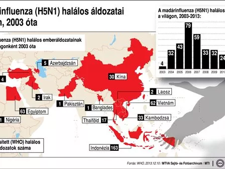 Új madárinfluenzás esetek Kínában