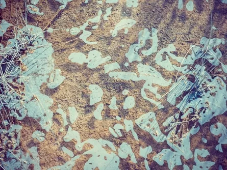 Nanotechnológiával a bakteriális biofilm ellen
