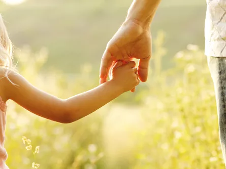 Kárba veszett erőfeszítések