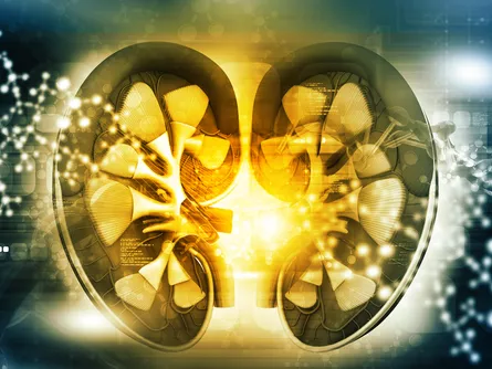 Fókuszban a nivolumab