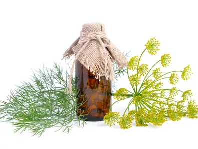 Édeskömény menopauzás panaszokra