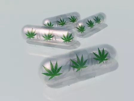 A kannabisz hatékony fájdalomcsillapító időseknél is