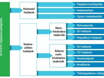 A vény nélkül kapható fájdalomcsillapítók összehasonlítása a kockázat/haszon arány alapján