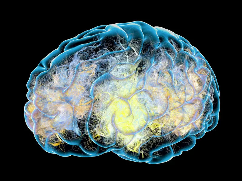 Antiepileptikumok a demencia kezelésében?