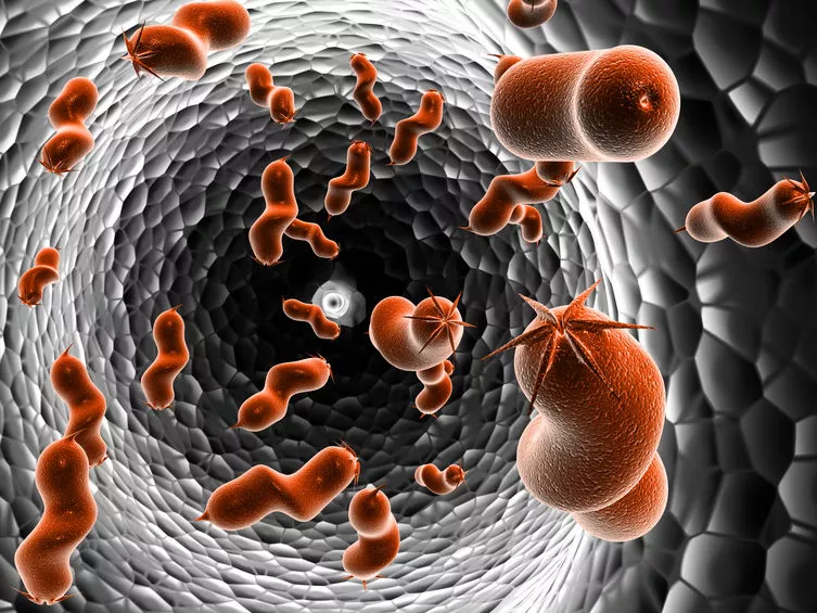Géntechnológiai probiotikum mint a hiperammonémia lehetséges gyógyszere