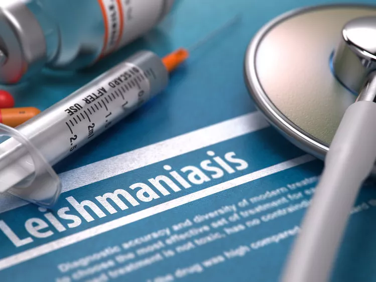 Fél év alatt ötezer új leishmaniasis-beteg Líbiában