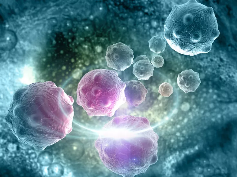 Immunválaszt erősítő molekula a rák ellen