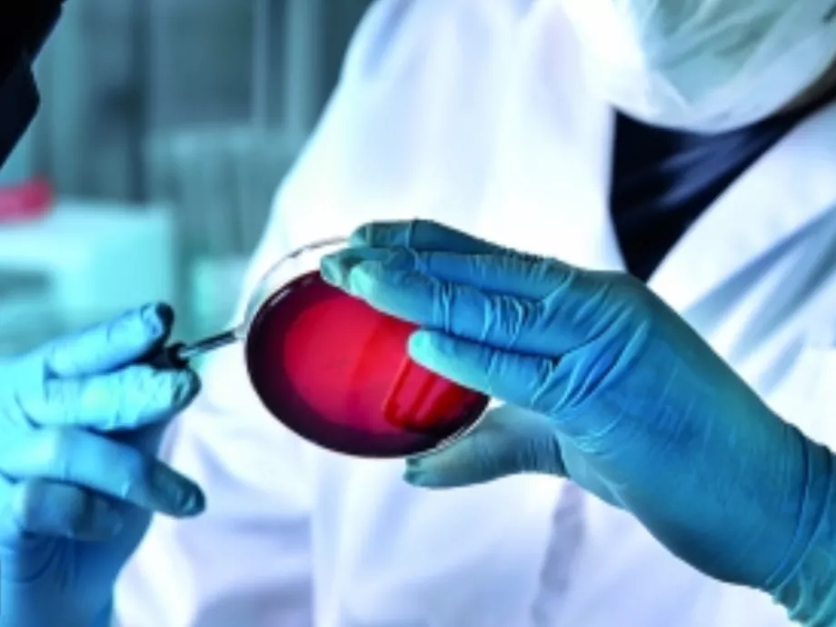 Bakteriális és virális eredetű meningitisek és encephalitisek