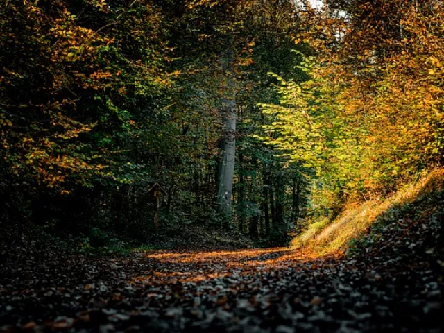 Az ősz a hormonjainkra és a menzeszre is befolyással lehet!