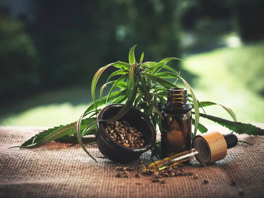 A magyarok túlnyomó többsége nyitott az orvosi kannabisz használatára