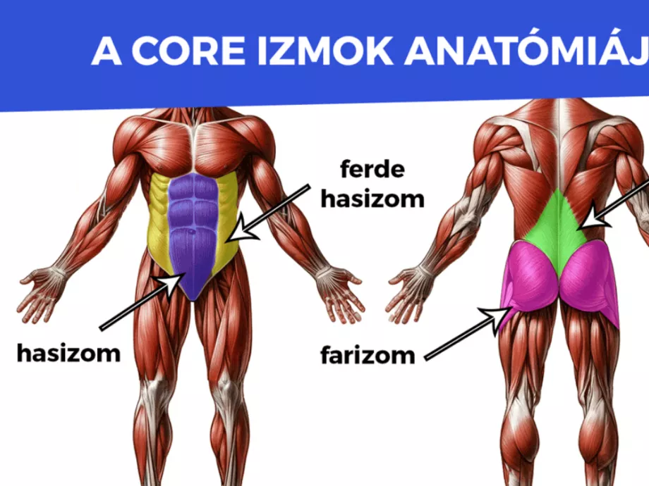 A CORE izmok erősítése csak mítosz? Előfordulhat, hogy ártunk a gyógytornával?