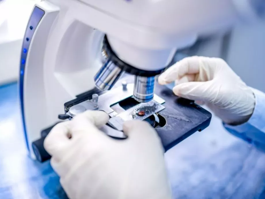 Mesterséges intelligencia a Lyme-kór diagnosztikájában