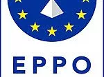 Az Európai Ügyészség vizsgálja az Ursula von der Leyen és a Pfizer vezérigazgatója közötti üzenetváltásokat
