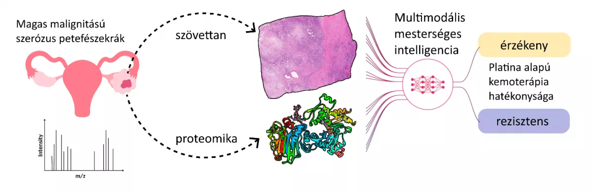 A close-up of a diagram

Description automatically generated