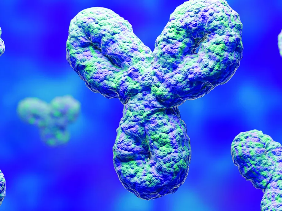 Új lehetőségek 1-es típusú diabetes mellitusban: immunológiai terápia