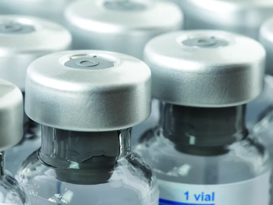 Idehaza is elérhető a chikungunya-vírus elleni vakcina